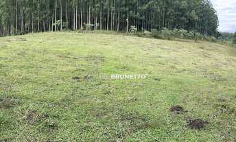 Imagem 5: CHÁCARA COM RIACHOS E NASCENTES EM CHAPECÓ/SC