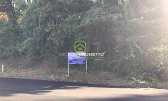 Imagem 3: EXCELENTE OPORTUNIDADE COM 713,29 m²