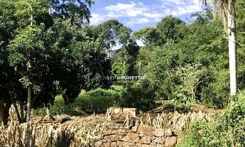 Imagem: TERRENO RURAL 1.495,00 m² NA BARRA DO PINHEIRO