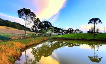 Imagem 6: PROPRIEDADE RURAL EM OURO/SC