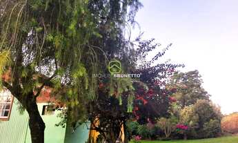 Imagem 3: PROPRIEDADE RURAL EM OURO/SC