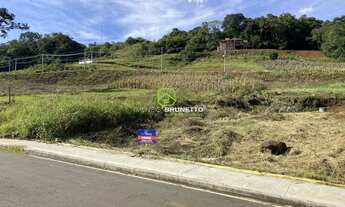 Imagem: LOTE PRÓXIMO AO VIVER E CONHECER