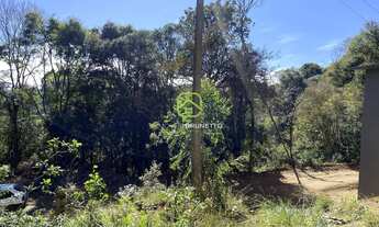 Imagem 4: PROPRIEDADE RURAL EM LINDEMBERG