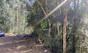 Imagem 3: PROPRIEDADE RURAL EM LINDEMBERG