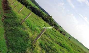 Imagem 2: 24.000 m² NA VILA UNIÃO EM CAPINZAL/SC