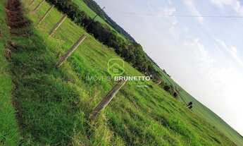 Imagem 2: 24.000 m² NA VILA UNIÃO EM CAPINZAL/SC