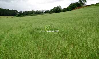 Imagem 1: 24.000 m² NA VILA UNIÃO EM CAPINZAL/SC