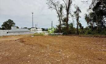 Imagem 5: LOTE NOS ALTOS DO JACOB DORINI EM CAPINZAL/SC