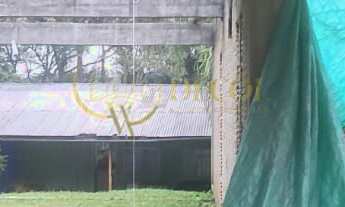 Imagem 7: LINDA CHÁCARA EM FORMAÇÃO