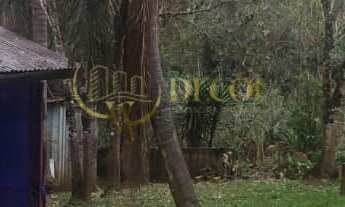 Imagem 5: LINDA CHÁCARA EM FORMAÇÃO