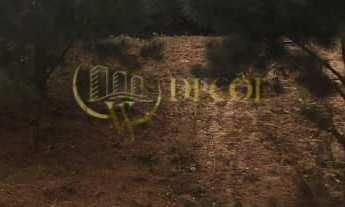 Imagem 2: LINDA CHÁCARA EM FORMAÇÃO