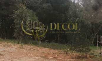 Imagem 3: LINDA CHÁCARA EM FORMAÇÃO