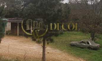 Imagem: LINDA CHÁCARA EM FORMAÇÃO