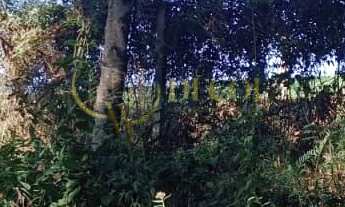 Imagem 5: Terreno para formação de Chácara Campo Largo/PR