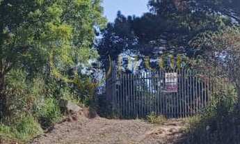 Imagem 4: Terreno para formação de Chácara Campo Largo/PR