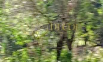 Imagem 6: Terreno para formação de Chácara Campo Largo/PR