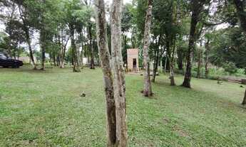 Imagem 6: Chácara Chácara em Centro, Balsa Nova/PR