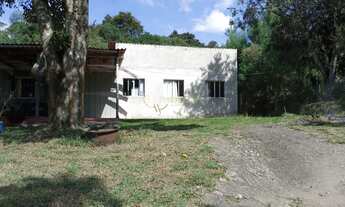 Imagem 4: EXUBERANTE CHÁCARA EM BOCAIUVA DO SUL - PR