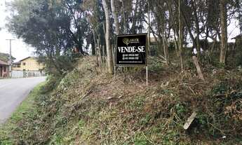 Imagem: LOTE DE FRENTE A RUA MATO GROSSO - FERRARIA