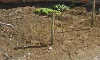 Imagem: Terreno Terreno em Jardim Itaqui, Campo