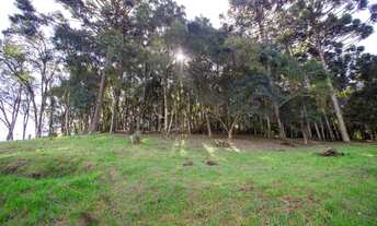 Imagem 6: Excelente terreno para formação de chácara em Campo Largo - Botiatuva