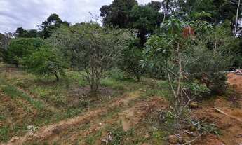 Imagem 4: Terreno à venda no bairro GUIOMAR - Antônio Carlos/SC