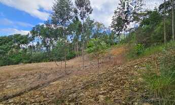 Imagem 7: Terreno à venda no bairro VILA DOZE - Antônio Carlos/SC