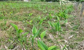 Imagem 5: Terreno à venda no bairro Rachadel - Antônio Carlos/SC