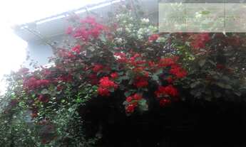 Imagem 4: Casas no Litoral para venda em Itanhaem no bairro Vila São Paulo