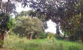 Imagem: Vende-se Commercial / Agricultural em Torrinha