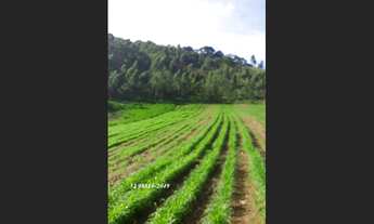 Imagem 2: Propriedade rural com 110 hectares