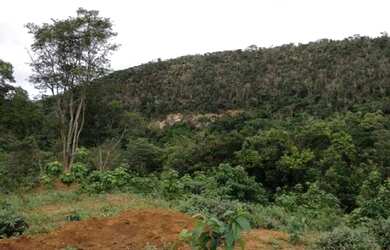 Imagem 15: Excelente fazenda em Lençóis