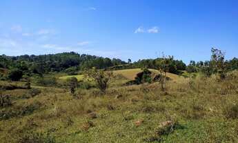 Imagem 2: Terreno de 10 há em Oliveira