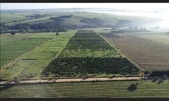 Imagem 5: Sitio proximo cidade com 11,6 has Artur Nogueira SP