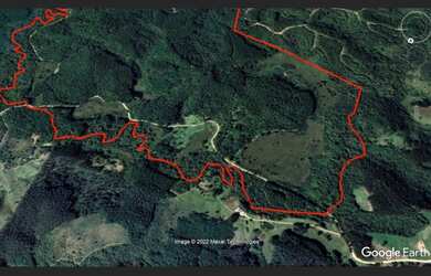 Imagem 2: Vendo Reflorestamento de pinus Taeda + Terra