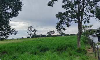 Imagem 6: R$800 mil fazendola 52 hectares a 20 km de Castanhal PA documentada