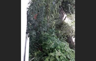 Imagem 5: ÓTIMAS CASAS PELO PROJETO MINHA CASA VIDA, BAIRRO LIMOEIRO EM CARATINGA