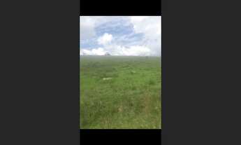 Imagem 3: Terreno de 10 há em Oliveira