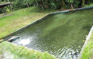 Imagem 5: 325 hectares (67 alqueires) a 110 km de Belem por R$2.000.000,00 documentada