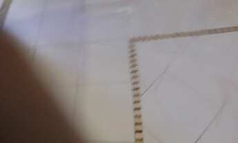 Imagem 3: PARQUE DAS LARANJEIRAS - MANAUS