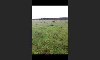 Imagem 5: 310 Alqs Dupla Aptidão da Pivô Aurora do Tocantins