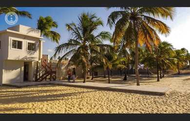 Imagem 6: Terreno beira mar Maracajau/ RN