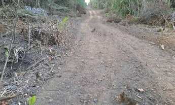 Imagem 5: 1.611 Alqs Bruta Safra e Safrinha Timom MA