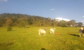 Imagem 2: Fazenda de 22 ha em Carmopolis de Minas