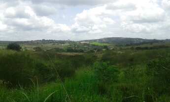 Imagem: Gravatá Área de 40 hectares para minha