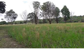 Imagem 2: MAGNÍFICA FAZENDA SANTA BÁRBARA - PA