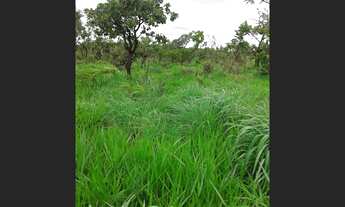 Imagem 1: EXCELENTE TERRENO COMERCIAL/INDUSTRIAL