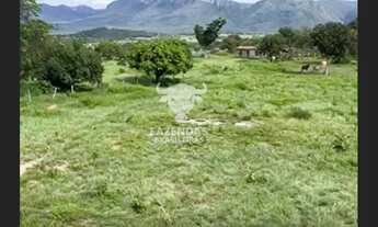 Imagem 2: FAZENDA PARA PECUÁRIA DE 563 ALQUEIRES (4.84) EM MONTE ALEGRE DE GOIÁS – GO