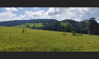 Imagem 1: Terreno Prox ao Horto florestal com escritura