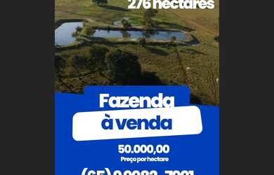 Imagem 3: Fazenda Mato Grosso